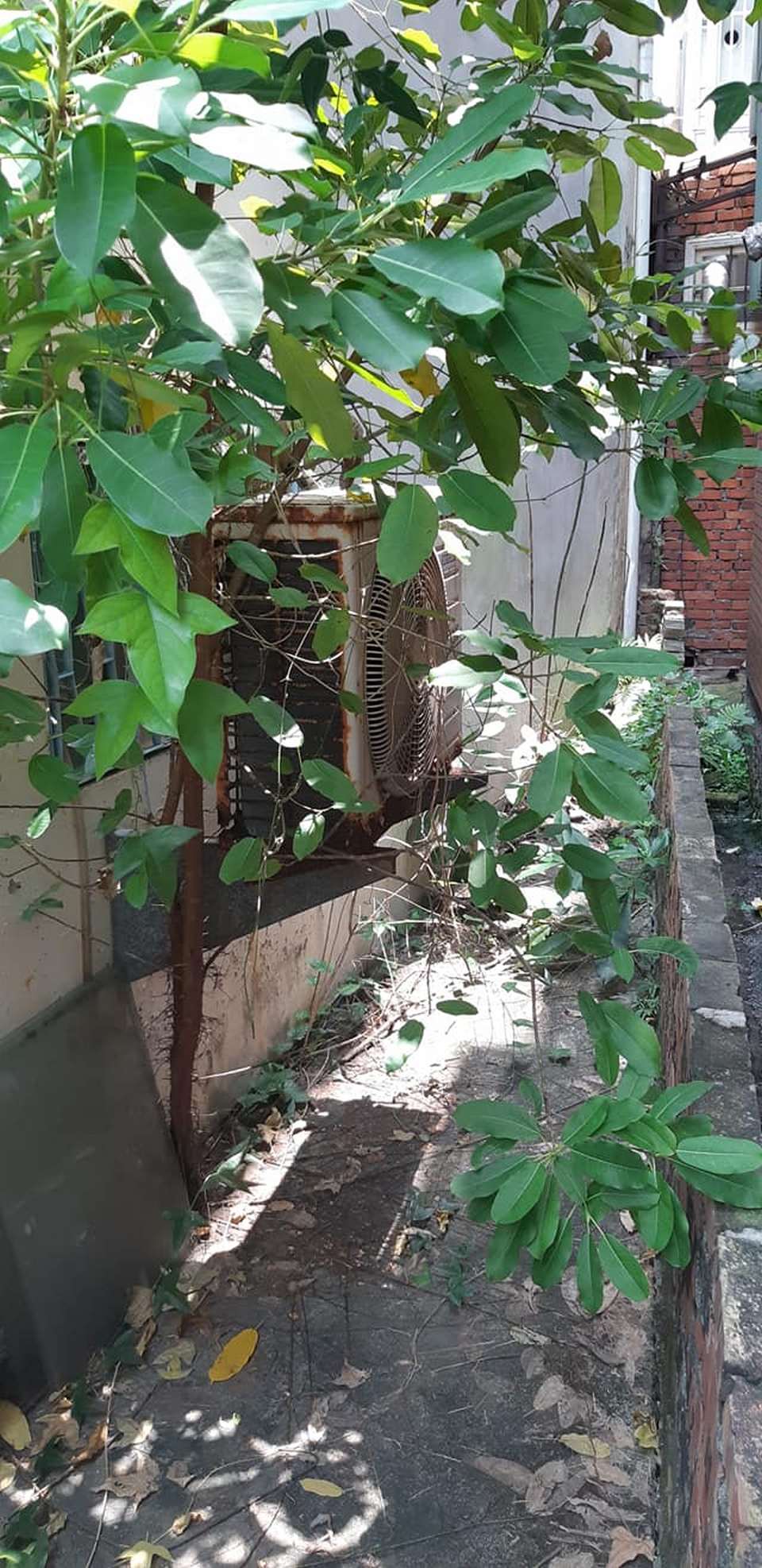 嘉義室內裝潢